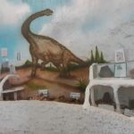 Musée-Dinosaure-10